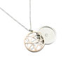 Picture of Gold Silver Tone Essential oil diffuser w/Anti-fatigue Health Magnetic Surgical Steel Pendant Necklace