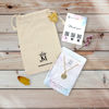 Picture of Blinking Star Charm Double Layer Necklace