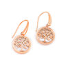 Picture of The Pearl of the Tree of life earrings(Stainless steel)