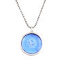 Picture of  "Like an Eagle" Steel w/ Crystal Necklace 