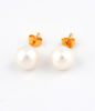 Picture of JM 925 Sterling Silver Classic Pearl Earrings (8.8-9mm)