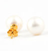 Picture of JM 925 Sterling Silver Classic Pearl Earrings (8.8-9mm)