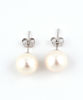 Picture of 925 Sterling Silver Classic Pearl Earrings (7 mm/9 mm)