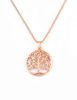Picture of 925 Sterling Silver Life of Tree w/CZ Necklace 