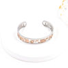 Picture of Blessing Source Steel Bangle 